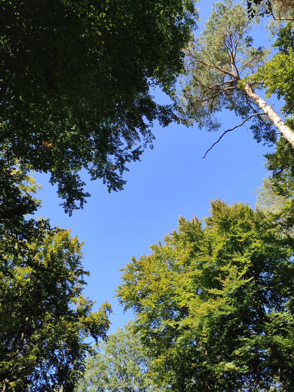 Wildpark_2c_15.jpg
